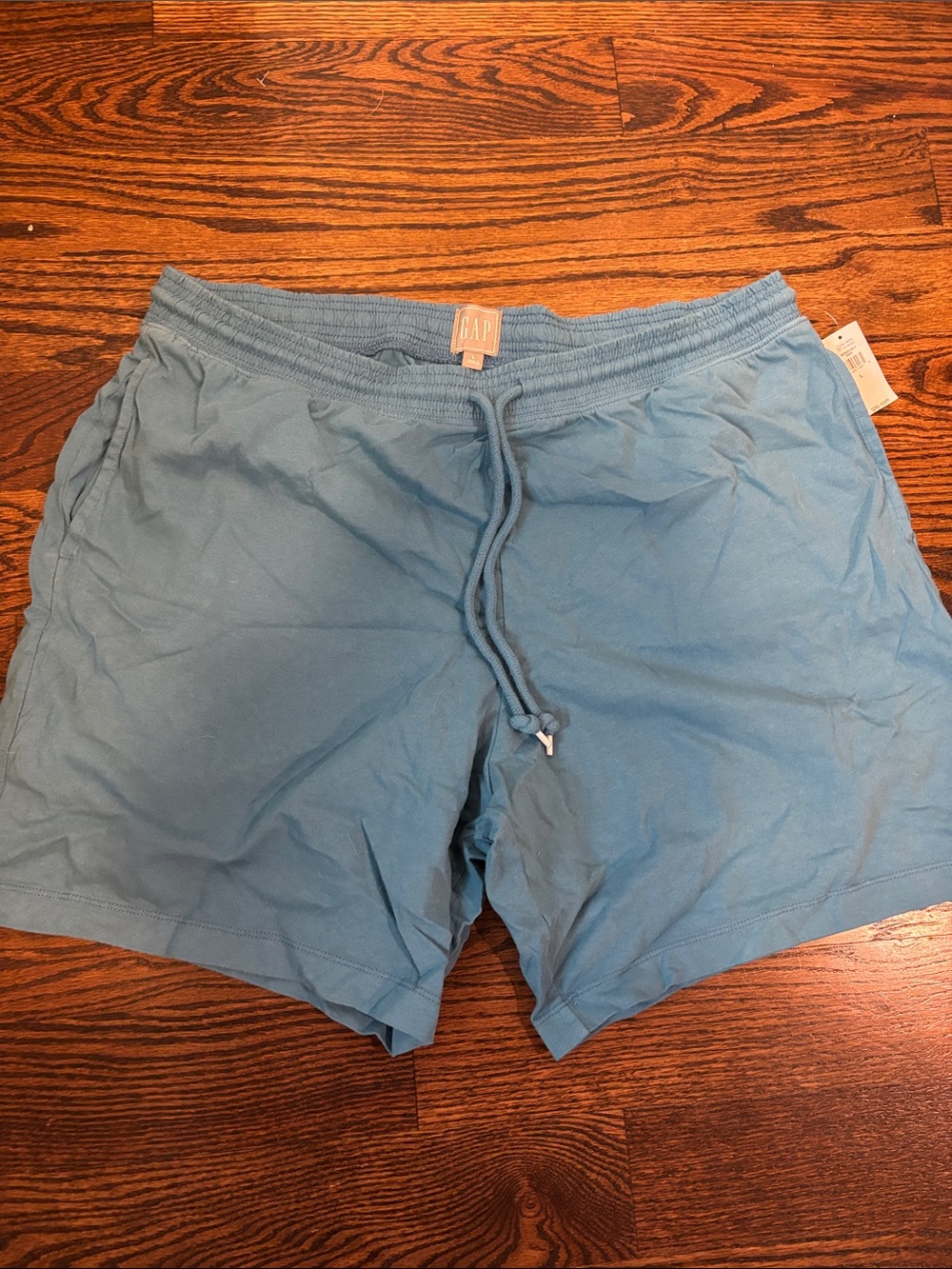 GAP Sky Blue Cotton Drawstring Shorts